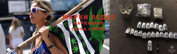 молекула духа Гусев