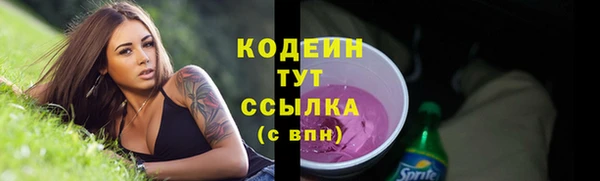 молекула духа Гусев