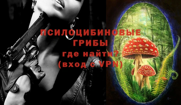 молекула духа Гусев