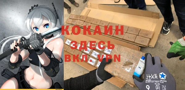 молекула духа Гусев