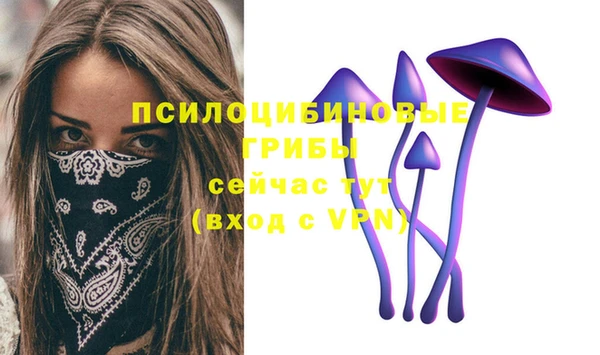 спайс Гусь-Хрустальный
