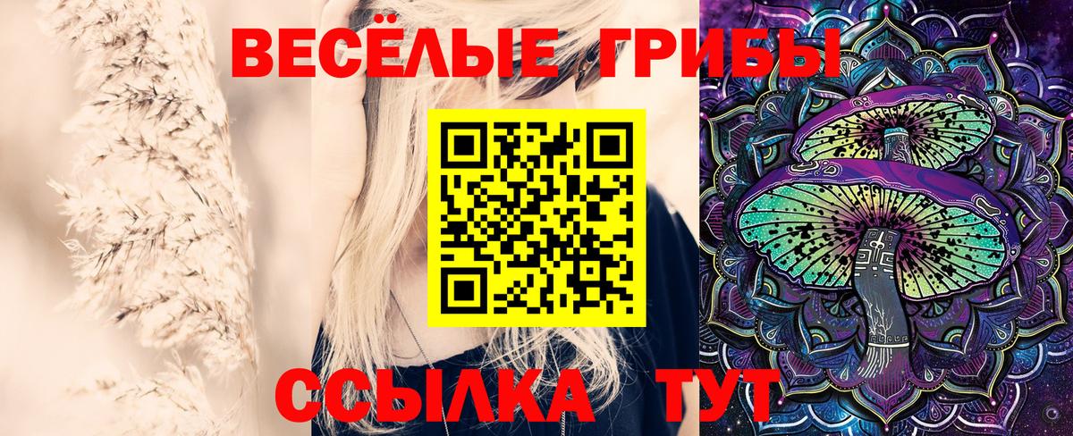 Галлюциногенные грибы мицелий Рассказово