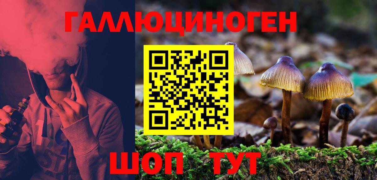 Галлюциногенные грибы GOLDEN TEACHER  Вход с VPN  Рассказово  Галлюциногенные грибы мицелий 